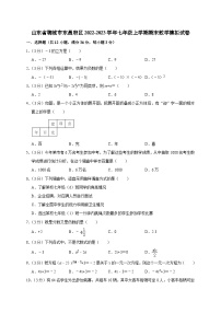 山东省聊城市东昌府区2022-2023学年七年级上学期期末数学模拟试卷