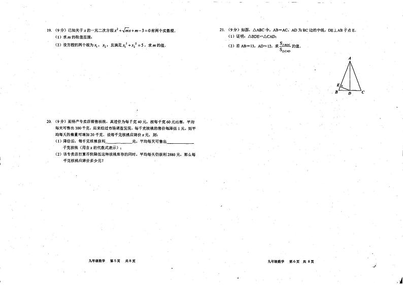河南省驻马店市上蔡县2022-2023学年九年级上学期11月期中数学试题第3页