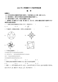 湖南省邵阳市新邵县2022-2023学年八年级下学期期中数学试题