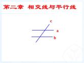 《对顶角、余角和补角》PPT课件2-七年级下册数学
