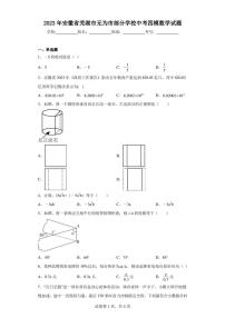 2023年安徽省芜湖市无为市部分学校中考四模数学试题