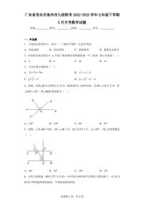 广东省茂名市高州市九校联考2022-2023学年七年级下学期5月月考数学试题