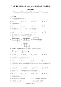 广东省茂名市祥和中学2022—2023学年七年级上学期数学期中试题