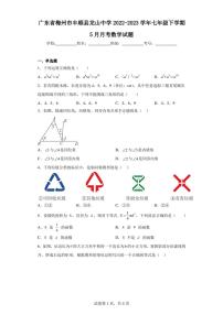 广东省梅州市丰顺县龙山中学2022-2023学年七年级下学期5月月考数学试题