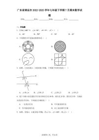 广东省清远市2022-2023学年七年级下学期7月期末数学试题