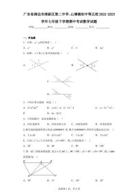 广东省清远市清新区第二中学、山塘镇初中等五校2022-2023学年七年级下学期期中考试数学试题