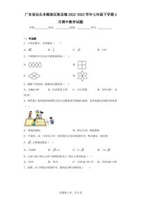 广东省汕头市潮南区陈店镇2022-2023学年七年级下学期4月期中数学试题