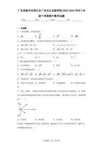 广东省韶关市武江区广东北江实验学校2022-2023学年八年级下学期期中数学试题