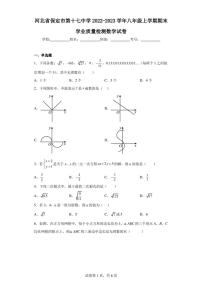 河北省保定市第十七中学2022-2023学年八年级上学期期末学业质量检测数学试卷