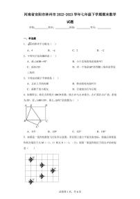 河南省安阳市林州市2022-2023学年七年级下学期期末数学试题