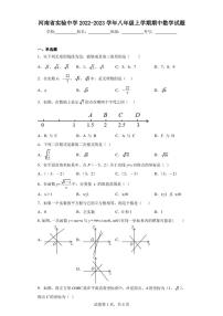 河南省实验中学2022-2023学年八年级上学期期中数学试题