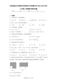 河南省新乡市牧野区河南师范大学附属中学2022-2023学年八年级上学期期中数学试题