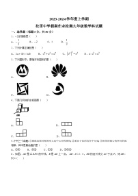 黑龙江省哈尔滨市松雷中学2023-2024学年九年级上学期开学考试数学试题