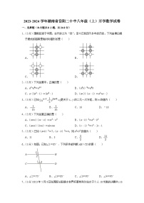 湖南省岳阳市第二十中学2023-2024学年八年级上学期开学数学试卷（含答案）