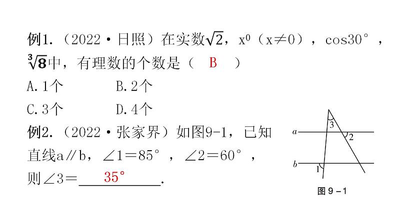 中考数学复习选填题常用思路方法课件04