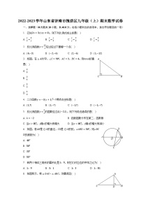 2022-2023学年山东省济南市槐荫区九年级（上）期末数学试卷（含解析）