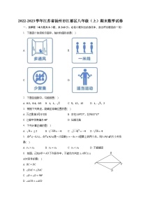 2022-2023学年江苏省扬州市江都区八年级（上）期末数学试卷（含解析）