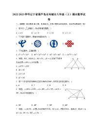 2022-2023学年辽宁省葫芦岛市兴城市八年级（上）期末数学试卷（含解析）