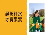 2023—2024学年人教版数学七年级上册1.2.4绝对值第1课时 课件PPT