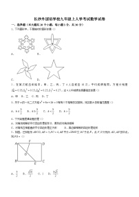 湖南省长沙外国语学校2023-2024学年九年级上学期开学考试数学试题