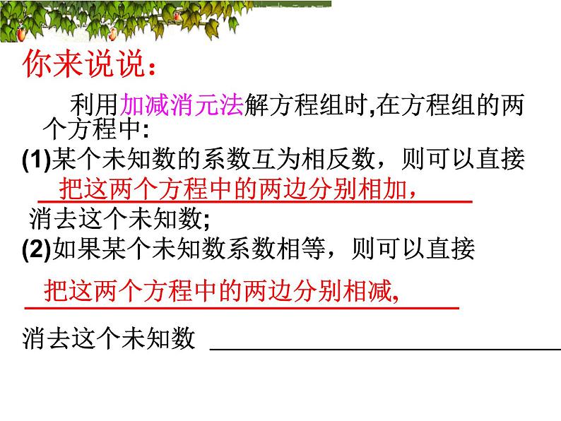 《用加减法解二元一次方程组》PPT课件6-七年级下册数学人教版第8页