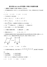 广东省惠州市惠台学校2023-2024学年九年级上学期开学考试数学试题(无答案)