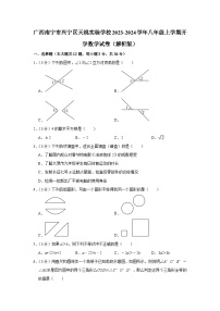 广西南宁市天桃实验学校2023-2024学年八年级上学期开学考试数学试卷