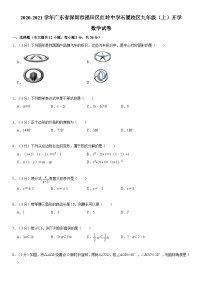 2020-2021学年广东省深圳市福田区红岭中学石厦校区九年级（上）开学数学试卷