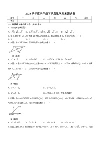 吉林省白山市浑江区白山市浑江区四校2022-2023学年八年级下学期期末数学试题