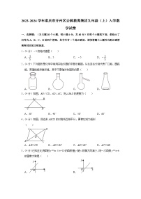 +重庆市开州区云枫教育集团2023-2024学年九年级上学期入学数学试卷