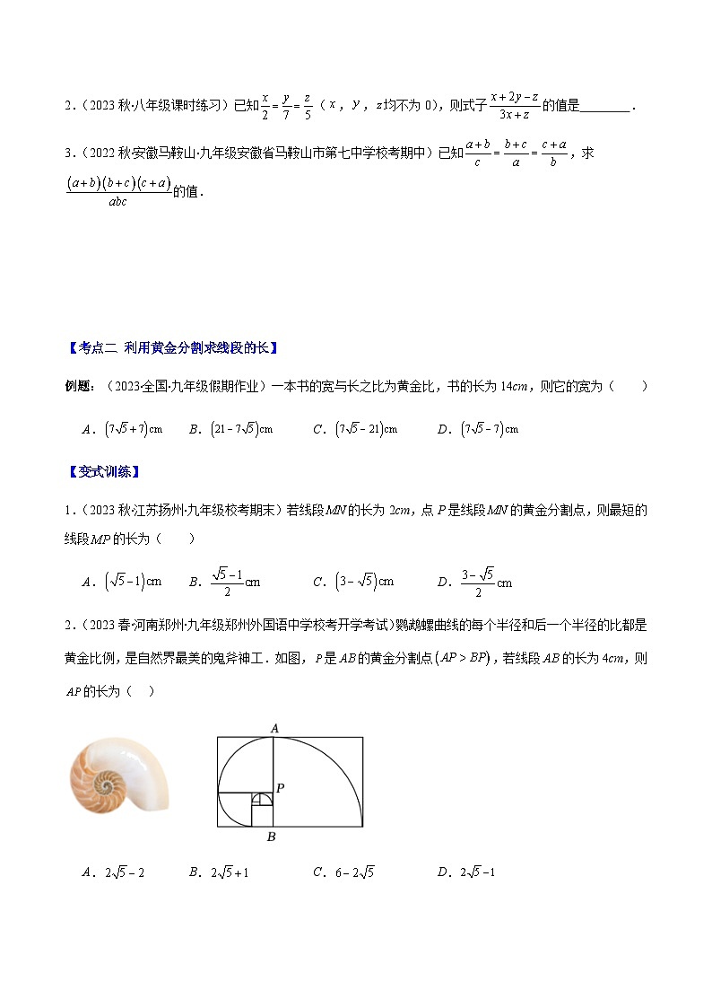 专题11 比例性质、黄金分割、平行线分线段成比例压轴题六种模型全攻略-【常考压轴题】2023-2024学年九年级数学上册压轴题攻略(湘教版）02