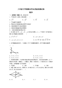 河南省安阳市汤阴县2022-2023学年八年级下学期期末学业质量检测数学试卷(含答案)