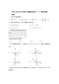 黑龙江省佳木斯市同江市东部六校2022-2023学年八年级下学期期末综合练习（二）数学试卷(含解析)