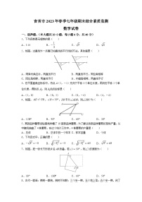 湖南省湘西州吉首市2022-2023学年七年级下学期期末综合素质监测数学试卷(含答案)