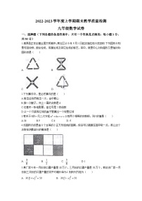 辽宁省抚顺市清原满族自治县2023届九年级上学期期末教学质量检测数学试卷(含答案)