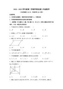 青海省海东市2022-2023学年八年级下学期期末学情监测数学试卷(含答案)