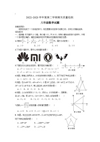 山东省枣庄市台儿庄区2022-2023学年八年级下学期期末质量检测数学试卷(含答案)