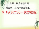 认识二元一次方程组》PPT课件2-八年级上册数学北师大版