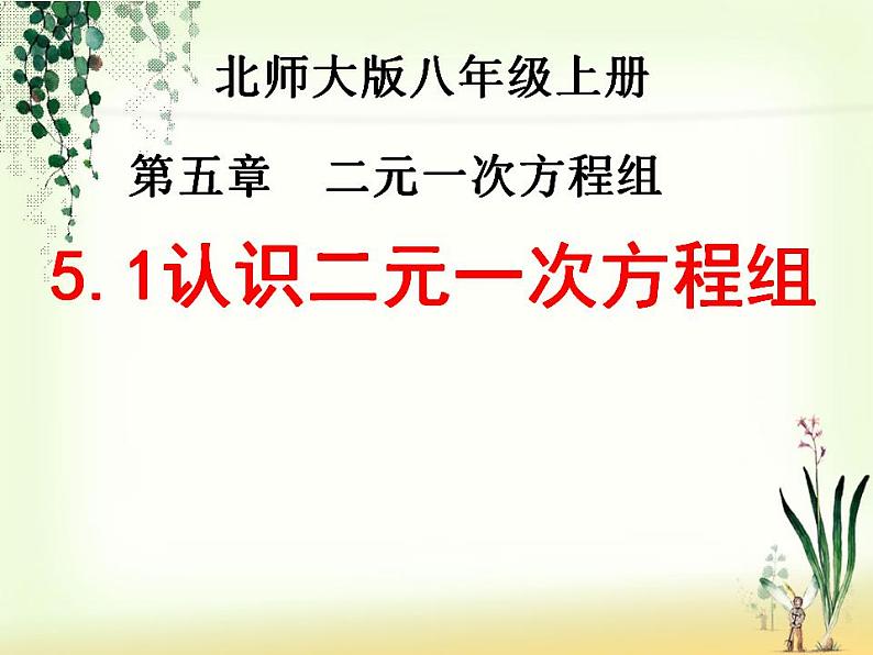 认识二元一次方程组》PPT课件2-八年级上册数学北师大版01