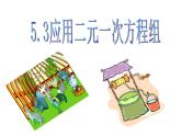 《 应用二元一次方程组—鸡兔同笼》PPT课件1-八年级上册数学北师大版