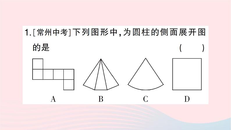 2023七年级数学上册期末基础专题1丰富的图形世界作业课件新版北师大版02