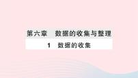 初中数学北师大版七年级上册6.1 数据的收集作业课件ppt