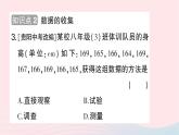 2023七年级数学上册第六章数据的收集与整理1数据的收集作业课件新版北师大版