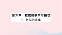 初中6.1 数据的收集作业ppt课件