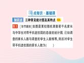 2023七年级数学上册第六章数据的收集与整理4统计图的选择第一课时三种常见统计图及其特点作业课件新版北师大版