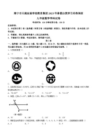 广西壮族自治区南宁市青秀区天桃实验学校2023-2024学年九年级上学期入学考试数学试题（含答案）