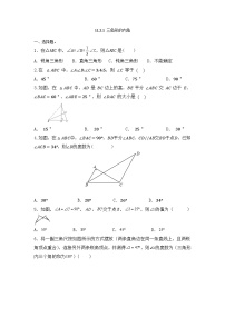 人教版11.2.1 三角形的内角精练