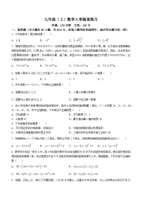 湖南省长沙市雨花区长沙市中雅培粹学校2023-2024学年九年级上学期开学考试数学试题(无答案)