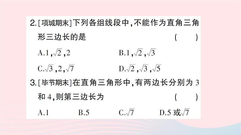 2023八年级数学上册期末基础专题2勾股定理及其应用作业课件新版北师大版03