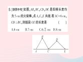 2023八年级数学上册期末基础专题2勾股定理及其应用作业课件新版北师大版